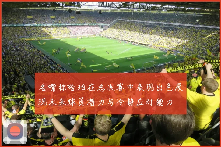 名嘴称哈珀在总决赛中表现出色展现未来球员潜力与冷静应对能力